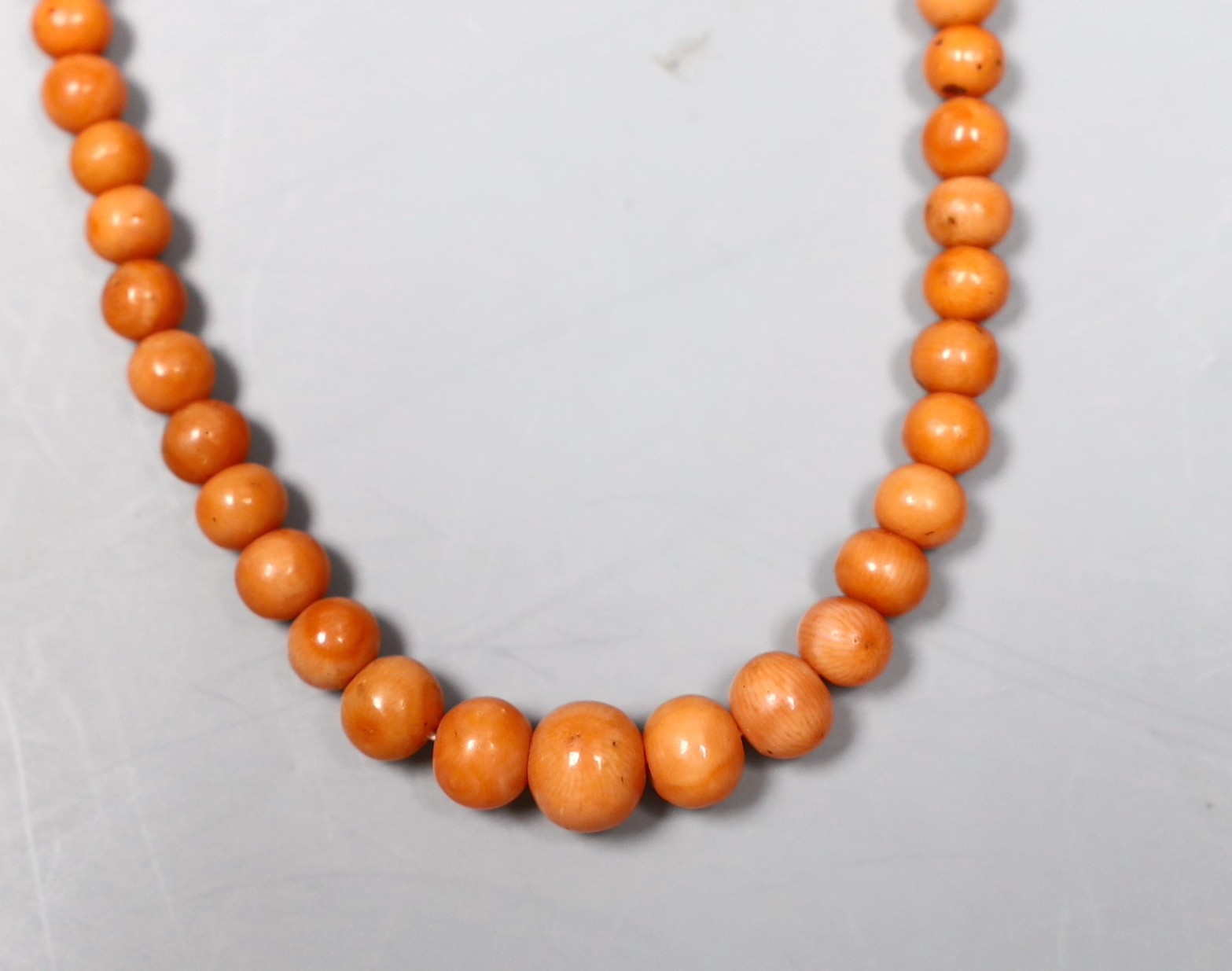 A single strand graduated coral bead child's necklace, with yellow metal clasp, 28cm.